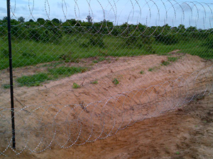 Diamond Mesh Fencing