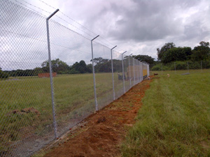 Diamond Mesh Fencing