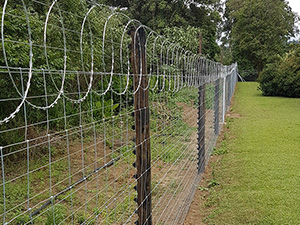 Razor Coil Fencing