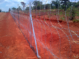 Razor Coil Fencing